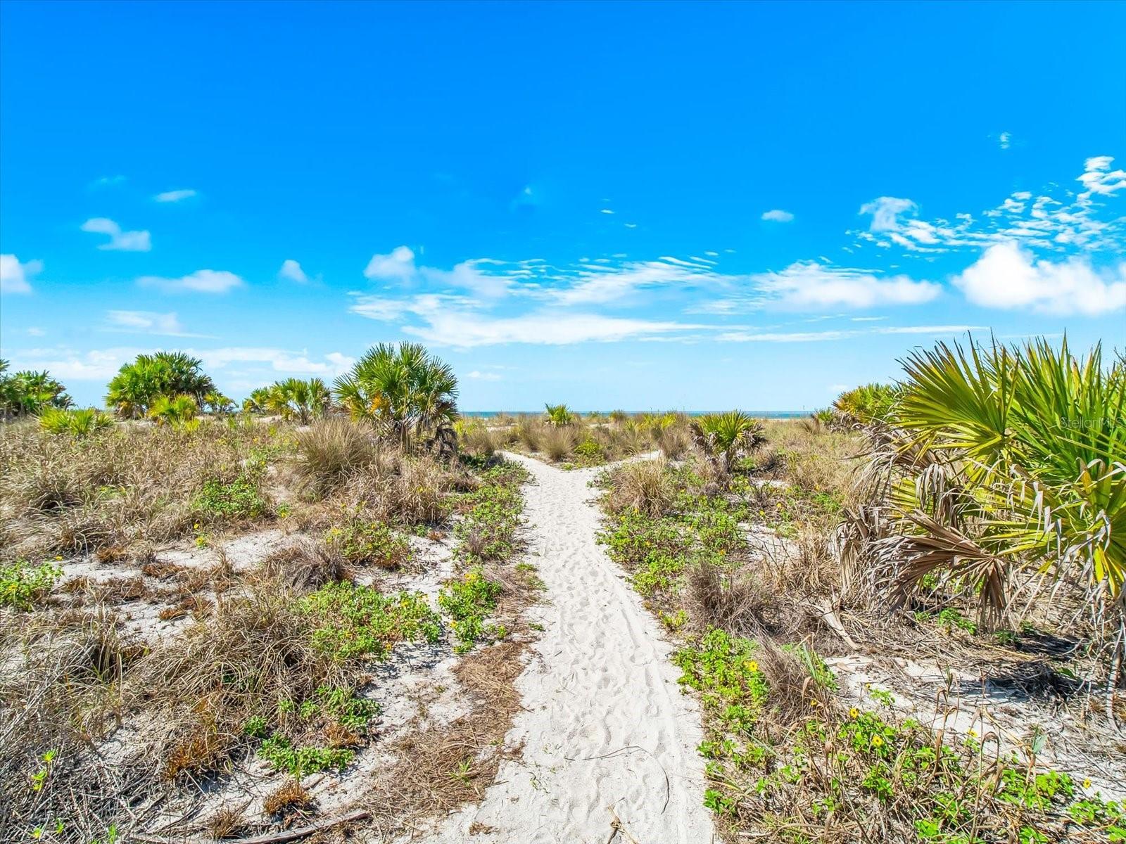 Image 51 of 66 For 1180 Gulf Boulevard 1504