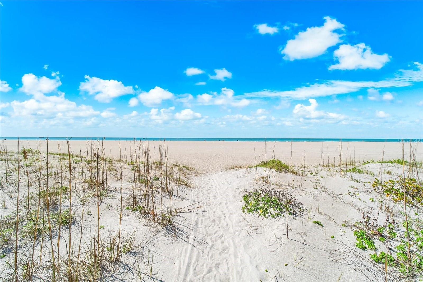 Image 52 of 66 For 1180 Gulf Boulevard 1504