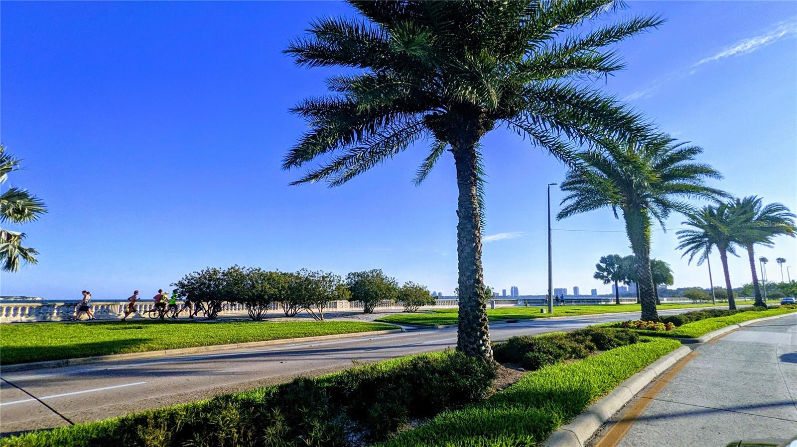 Image 22 of 22 For 501 Magnolia Avenue 1