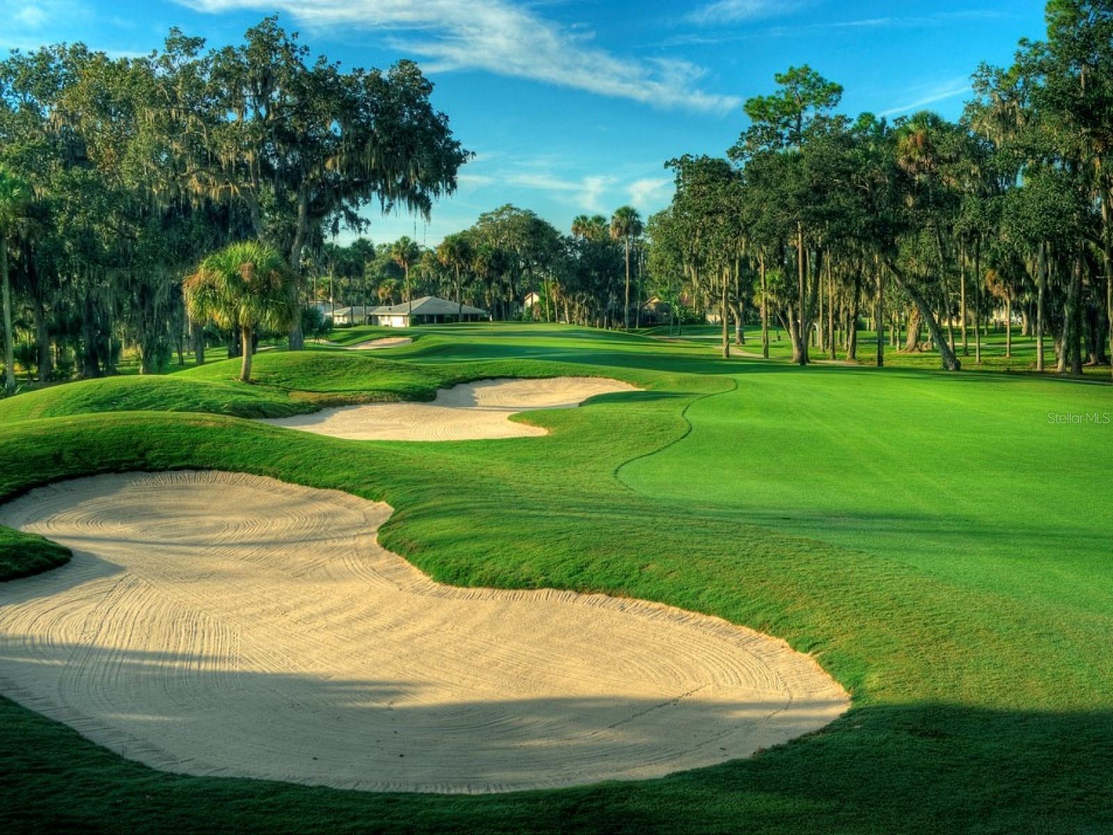 Image 55 of 68 For 438 Lafayette Boulevard