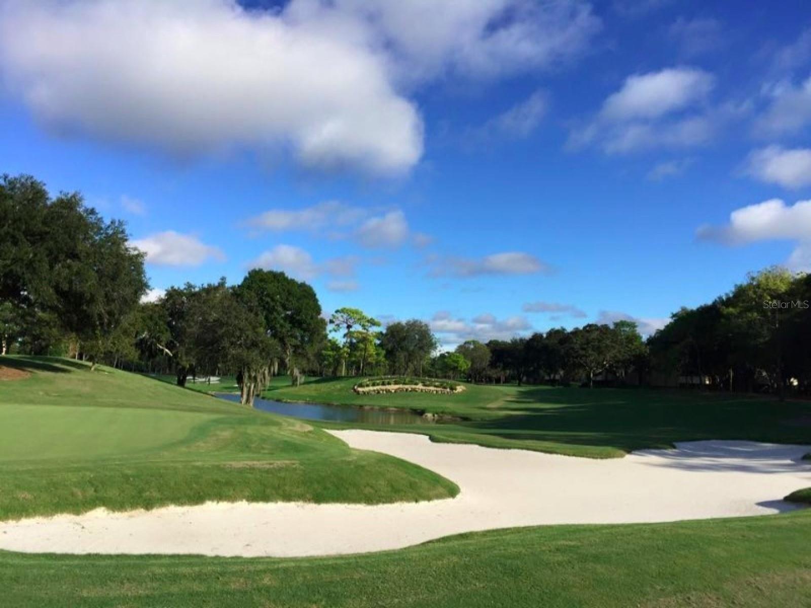 Image 56 of 68 For 438 Lafayette Boulevard