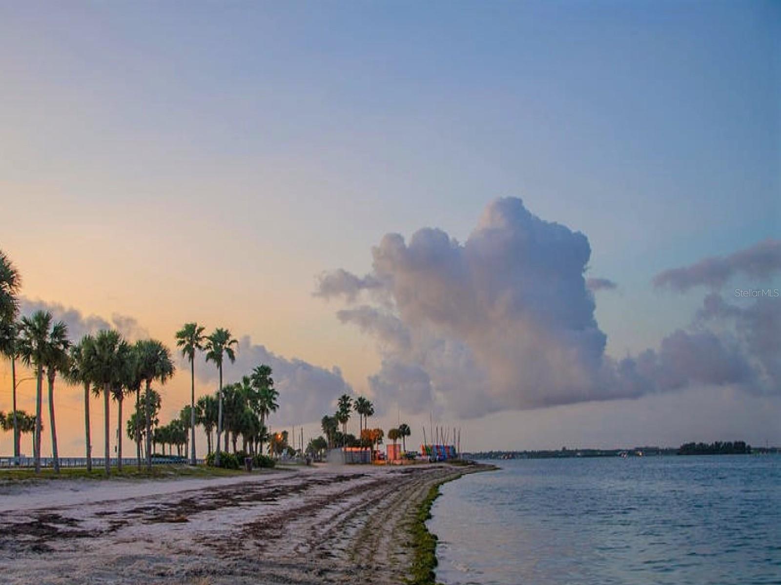 Image 65 of 68 For 438 Lafayette Boulevard