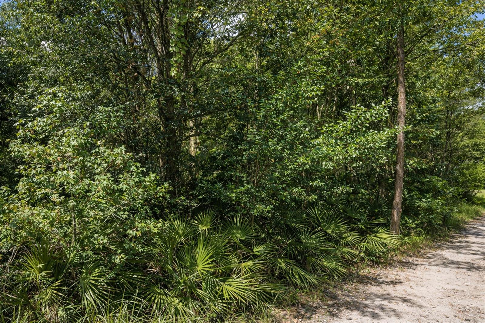 Image 3 of 3 For 0 Olsen Street