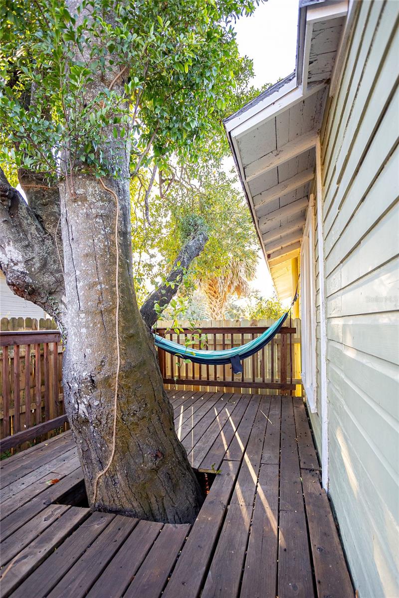 Image 57 of 67 For 3909 Tampa Street