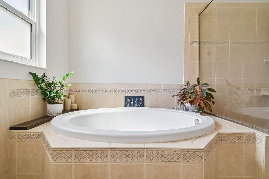 Listing photo id 32 for 627 Tuscanny Street