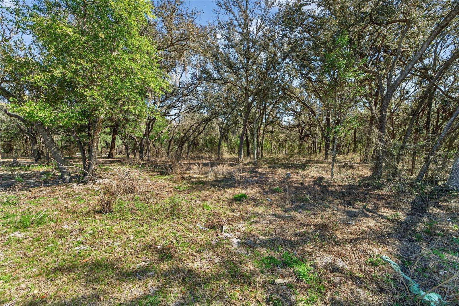 Image 4 of 81 For 35238 Manuel Street