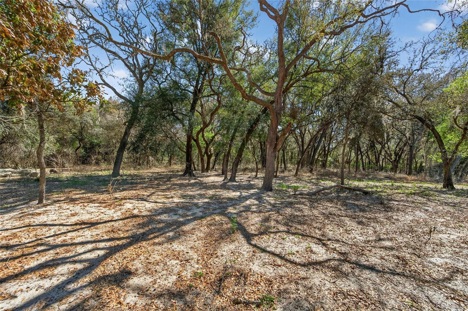 Image 49 of 81 For 35238 Manuel Street