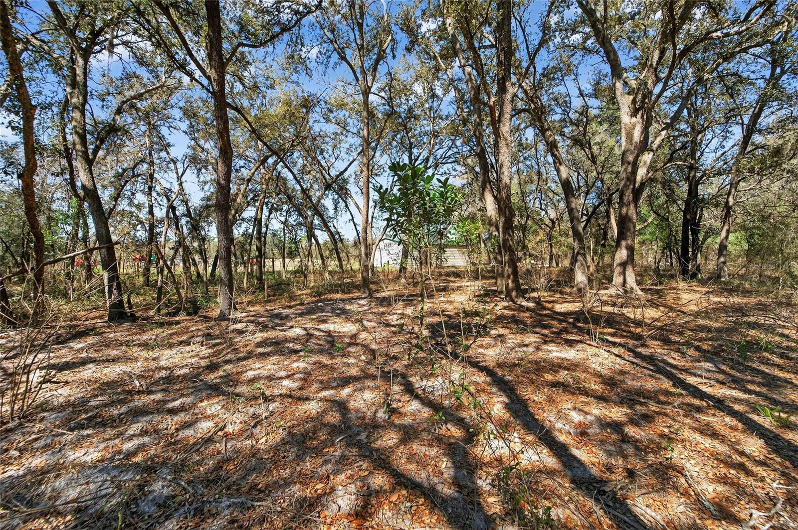 Image 51 of 81 For 35238 Manuel Street