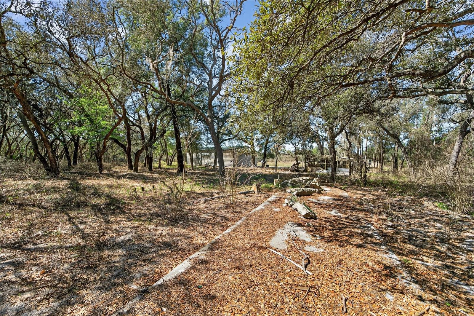 Image 52 of 81 For 35238 Manuel Street