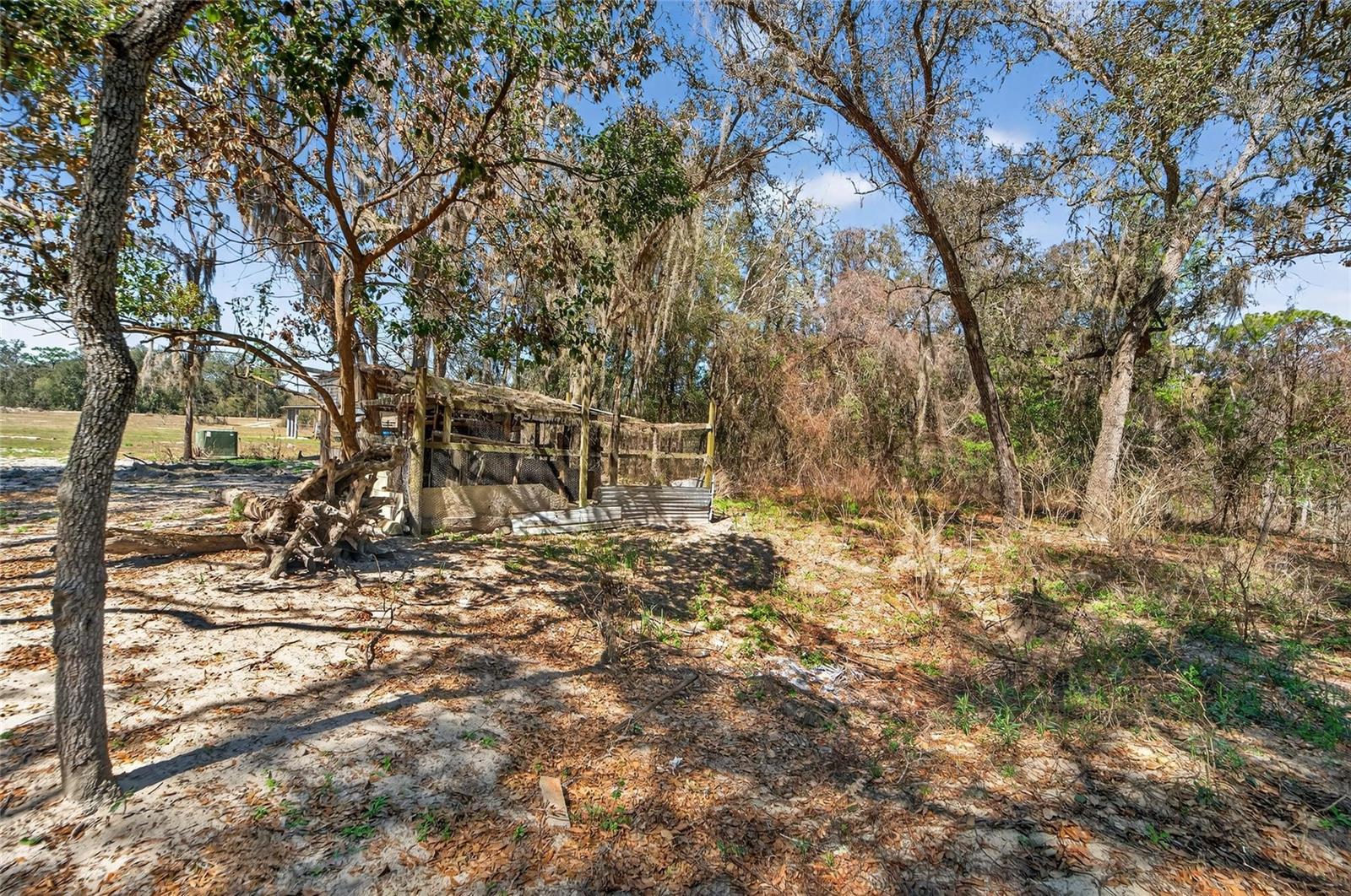 Image 53 of 81 For 35238 Manuel Street