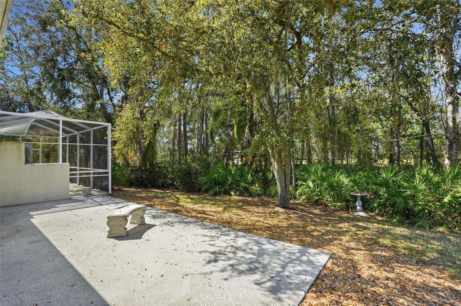 Listing photo id 27 for 3252 Chapel Creek Circle