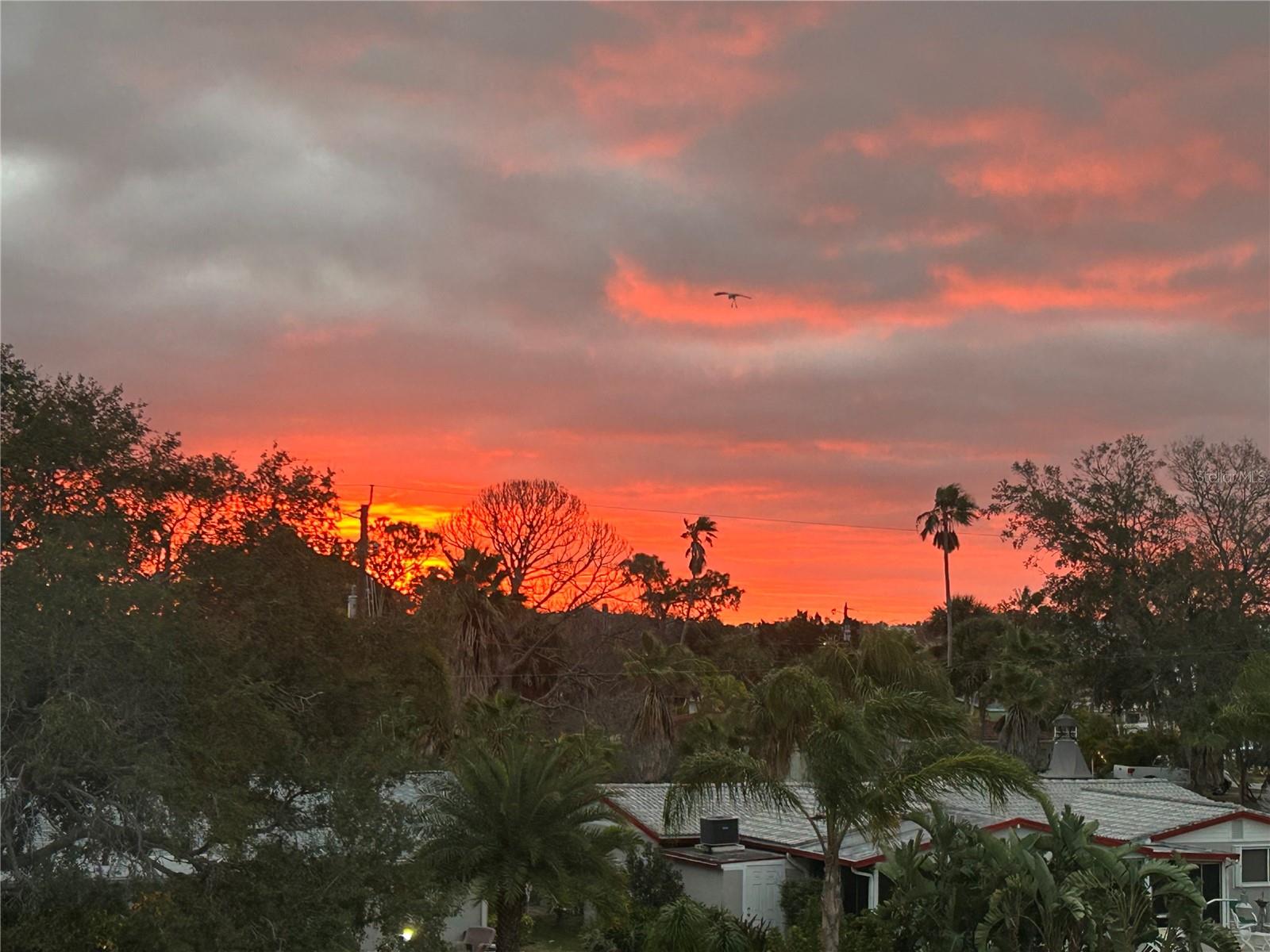 Image 29 of 37 For 8210 Aquila Street 223