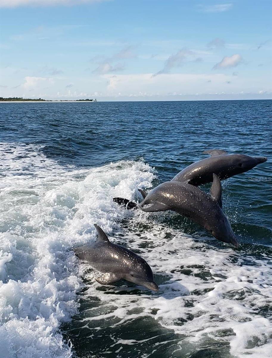 Image 29 of 35 For 212 Bunker Hill Lane 212