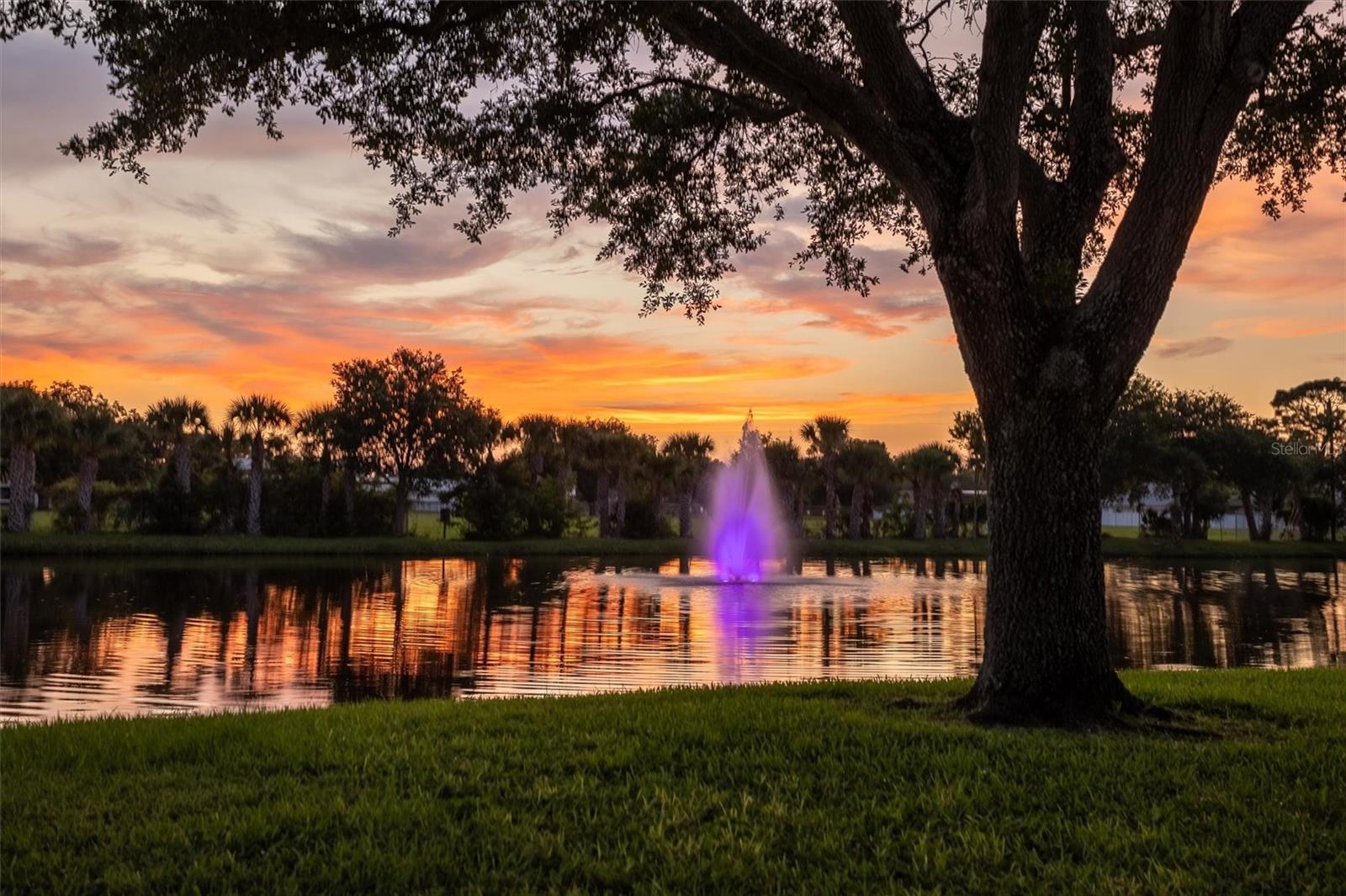 Image 38 of 62 For 10467 Larchmont Place N