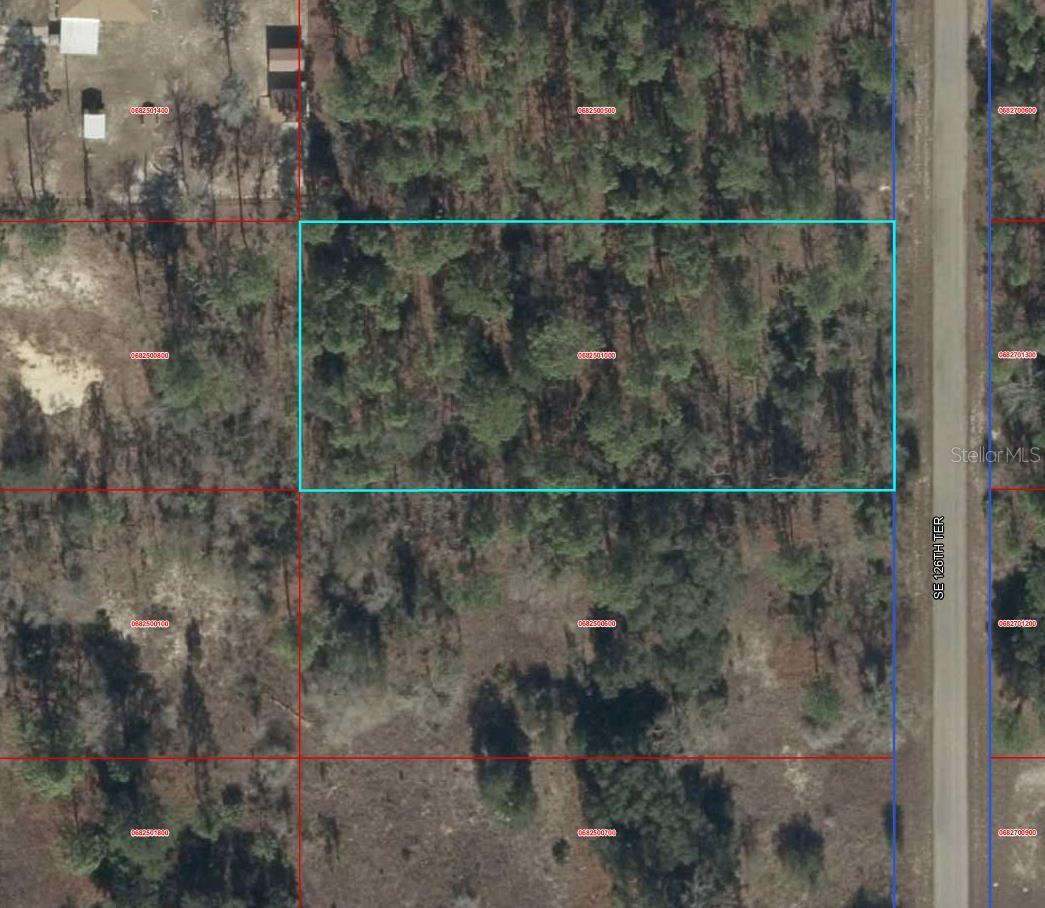 Details for 00000 126th Terrace, DUNNELLON, FL 34431