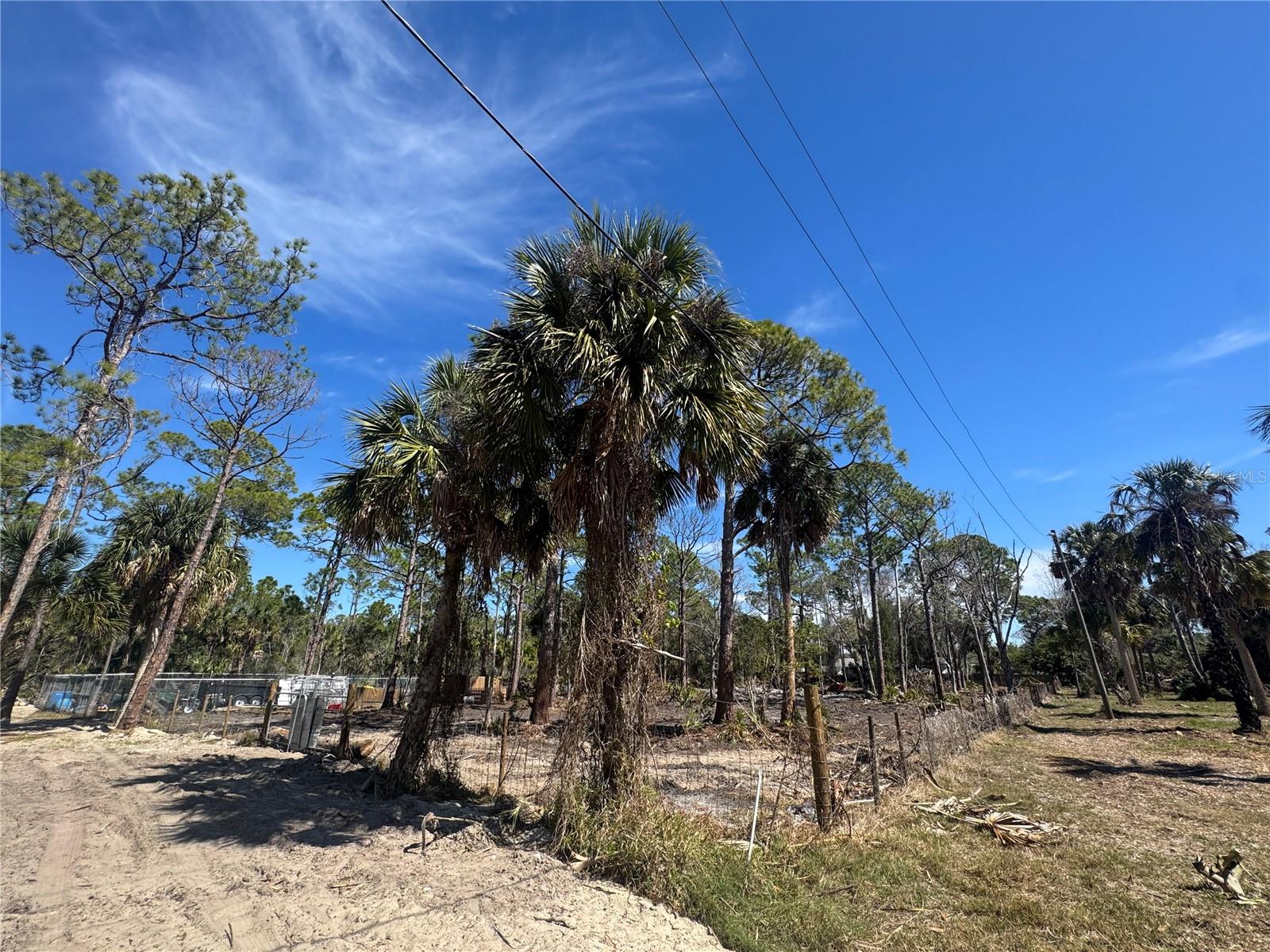 Image 10 of 10 For Xxx Shark