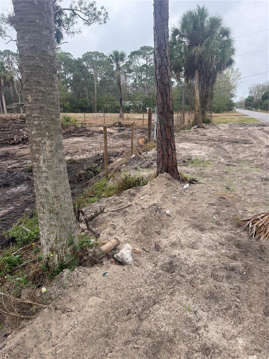 Image 4 of 10 For Xxx Shark