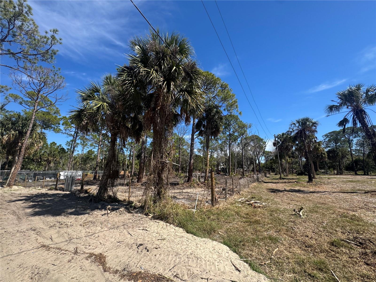 Image 6 of 10 For Xxx Shark