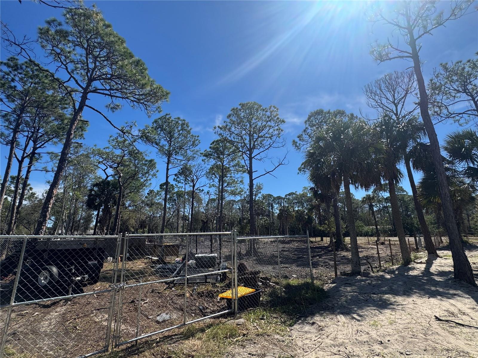 Image 7 of 10 For Xxx Shark