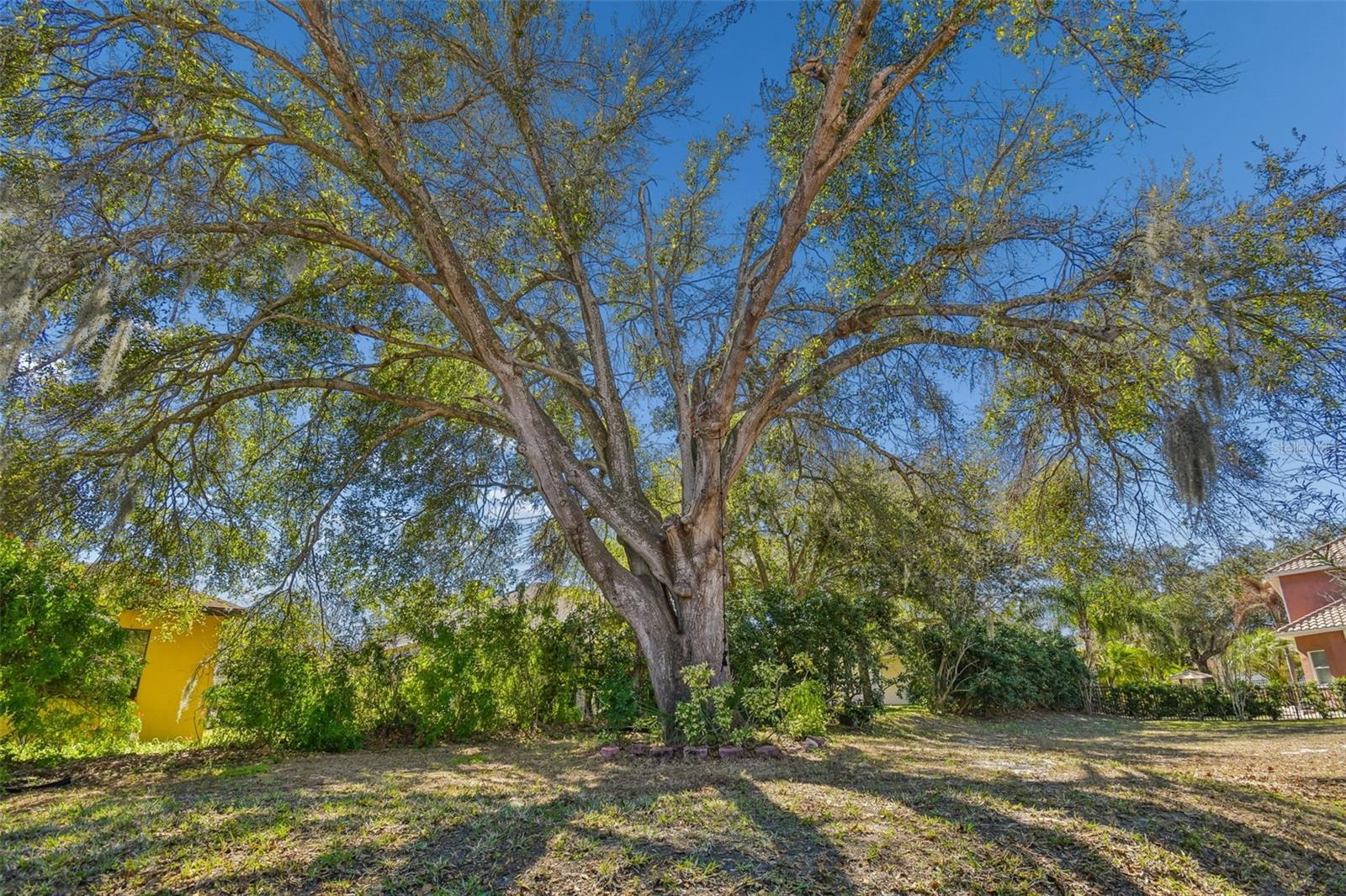 Image 76 of 88 For 614 Vintage Way