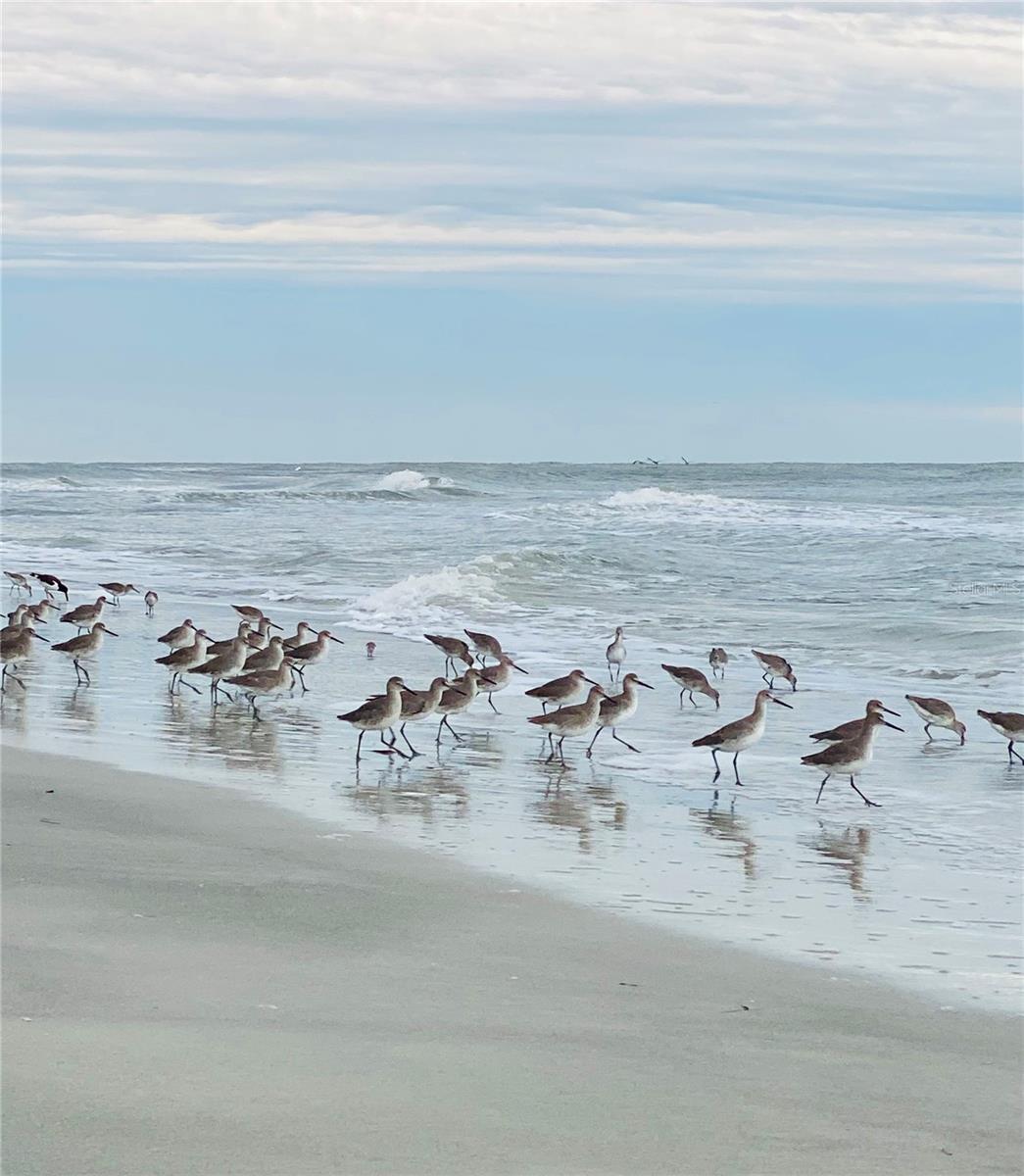 Listing photo id 77 for 103 Bath Club Concourse