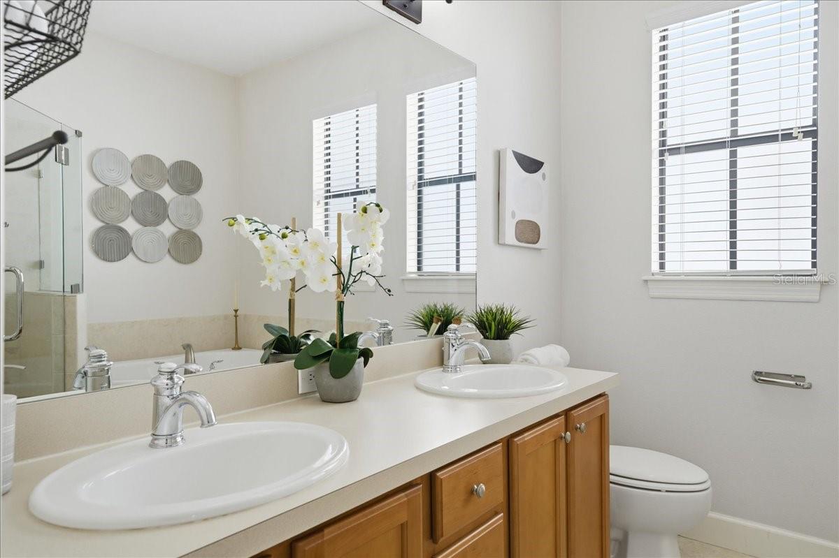 Image 20 of 39 For 113 Packwood Avenue A