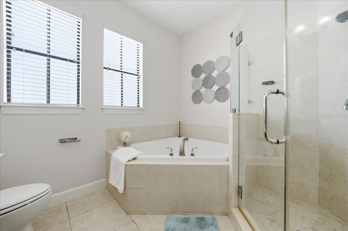 Image 21 of 39 For 113 Packwood Avenue A