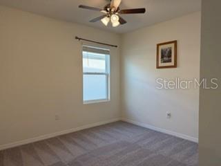 Image 26 of 29 For 34076 Soaring Bamboo Path