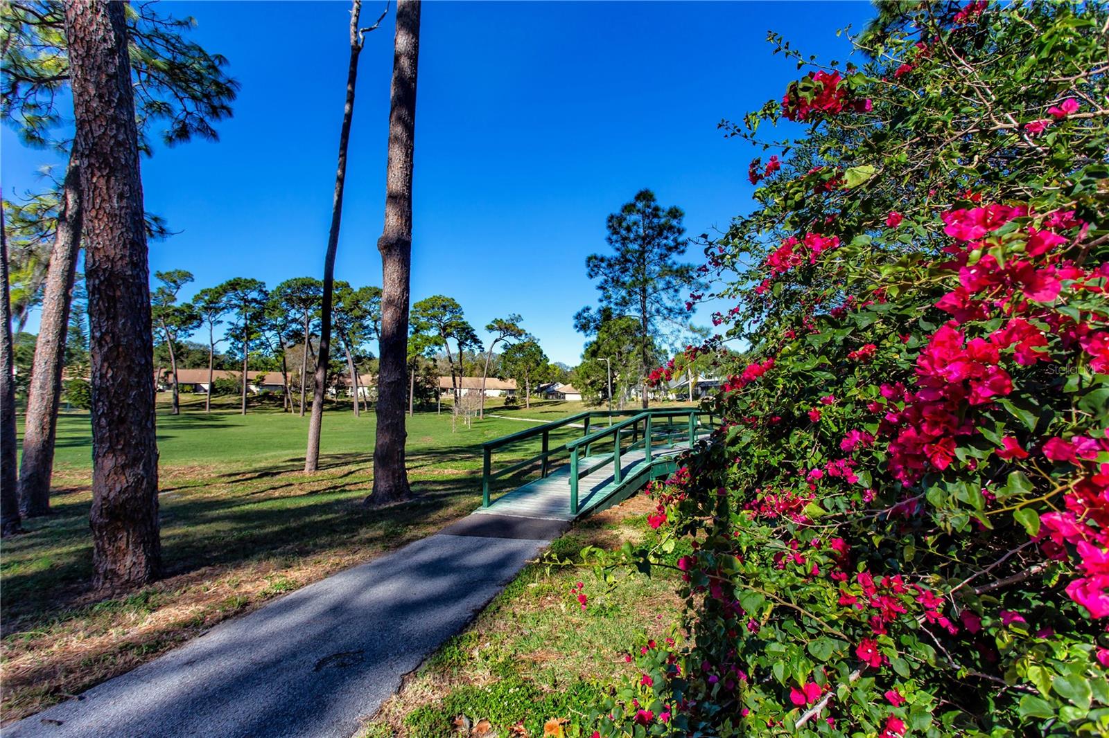 Image 24 of 31 For 2411 Bentley Drive 2411