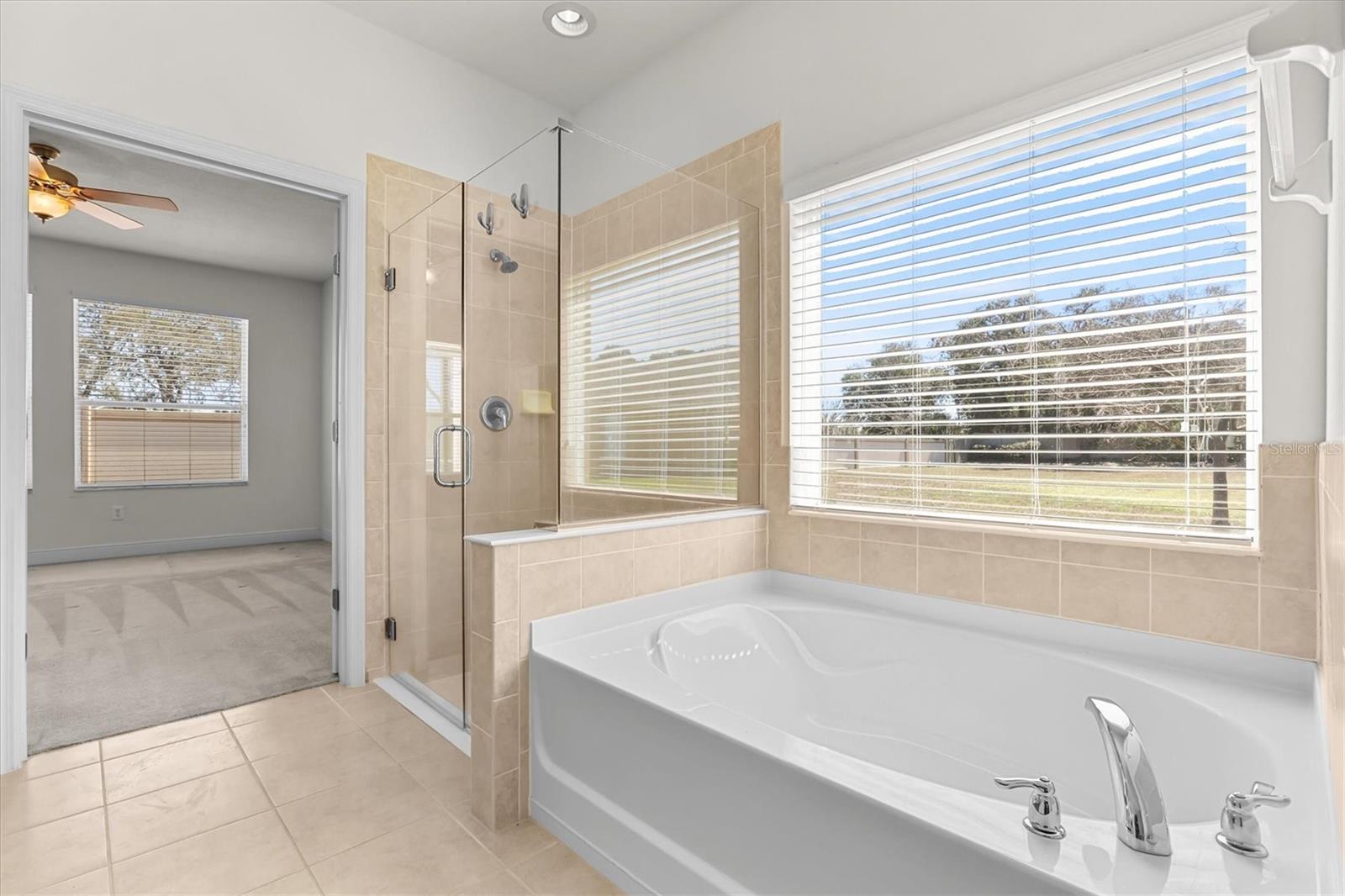 Listing photo id 19 for 2334 Barracuda Court