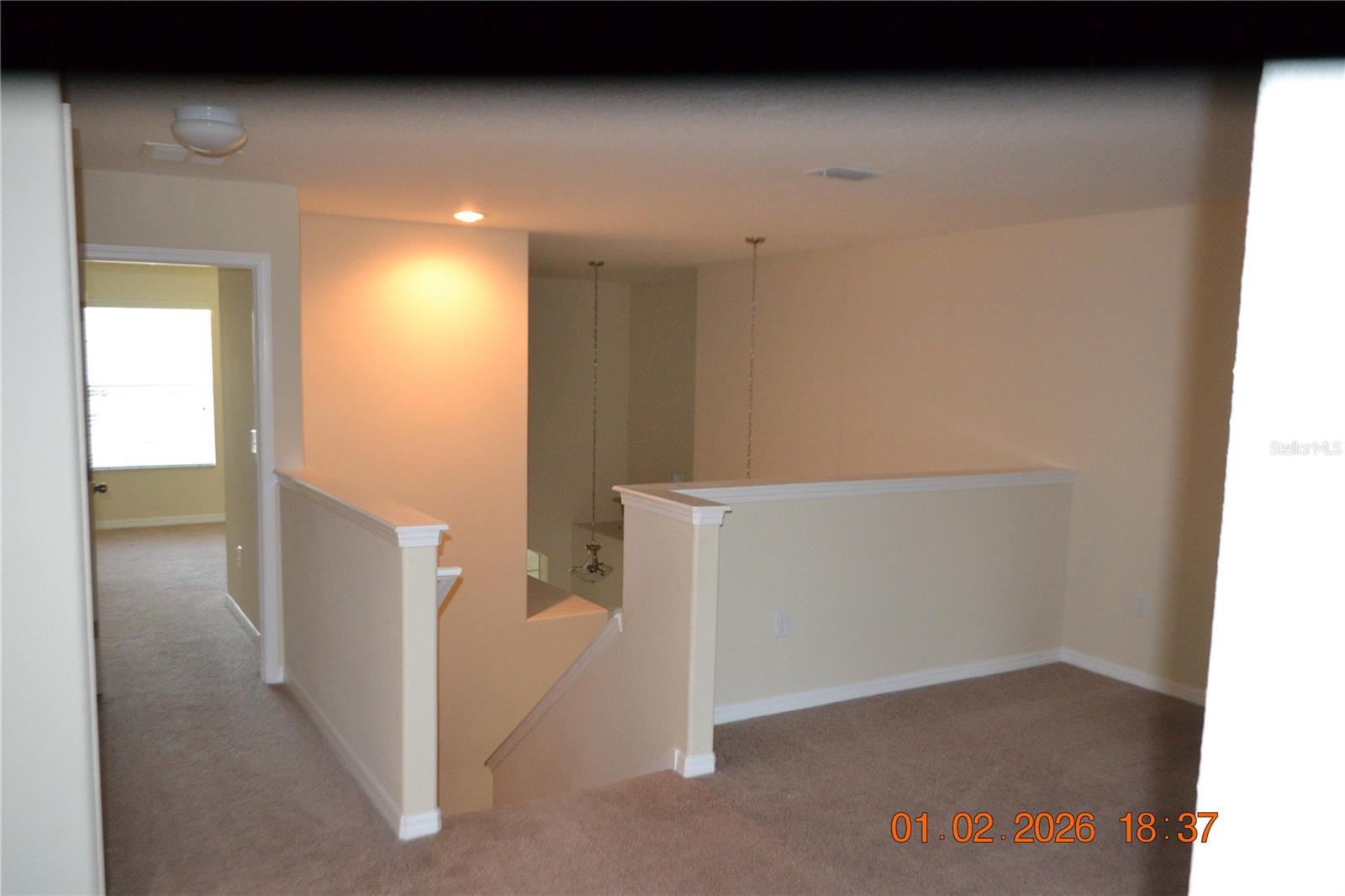 Listing photo id 12 for 20509 Carolina Cherry Court