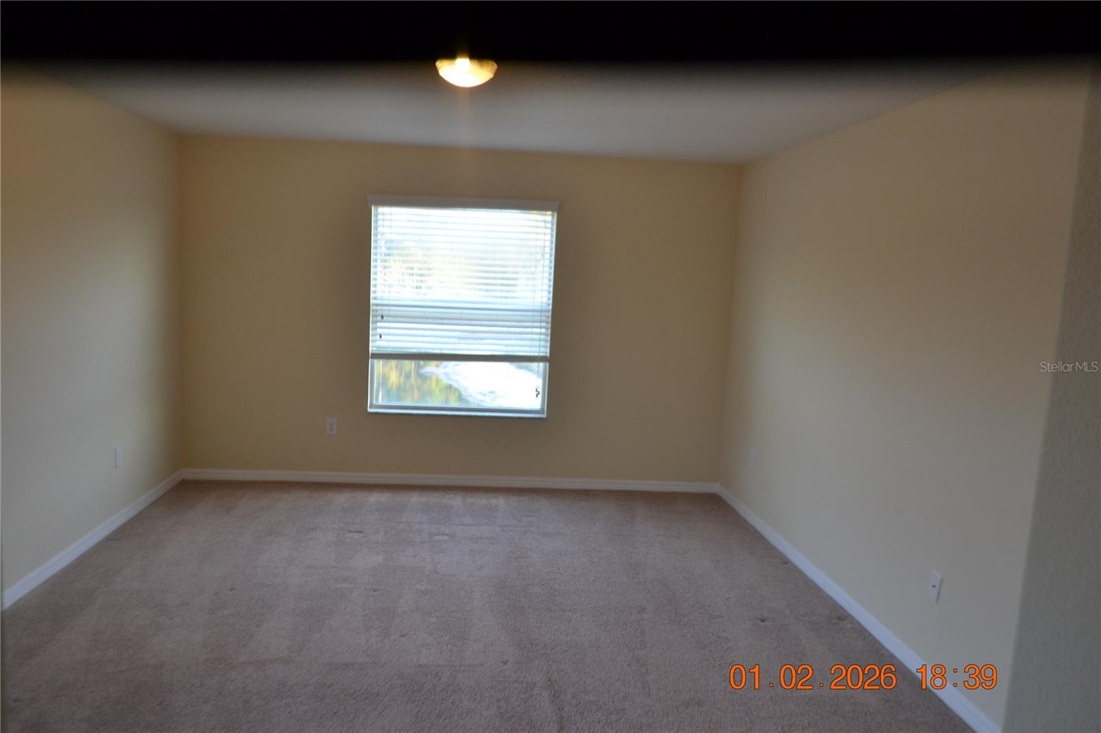 Listing photo id 5 for 20509 Carolina Cherry Court