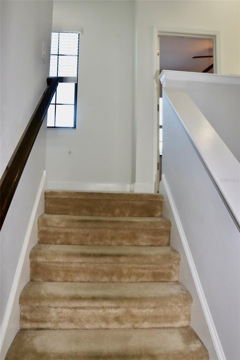 Image 14 of 40 For 5824 Circa Fishhawk Boulevard