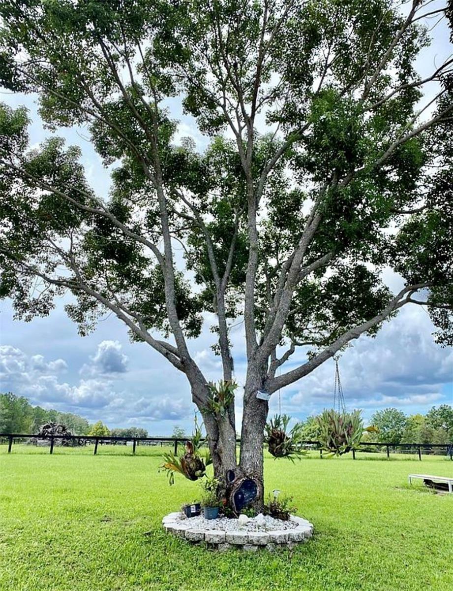 Image 20 of 70 For 26914 Mondon Hill Road