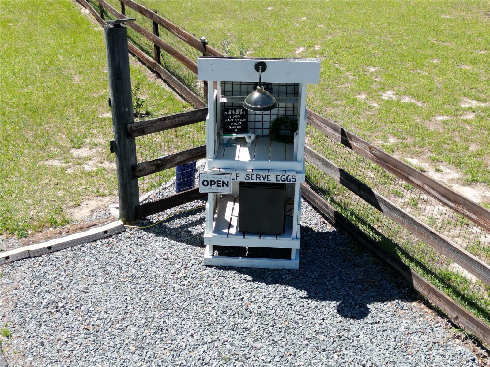 Image 23 of 70 For 26914 Mondon Hill Road