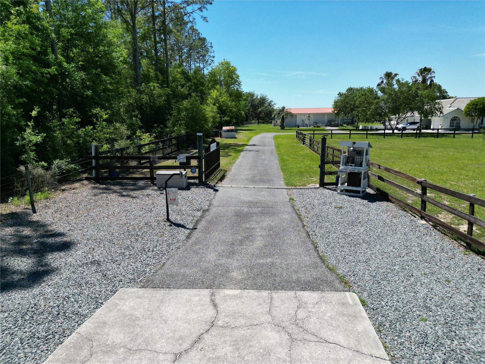 Image 27 of 70 For 26914 Mondon Hill Road