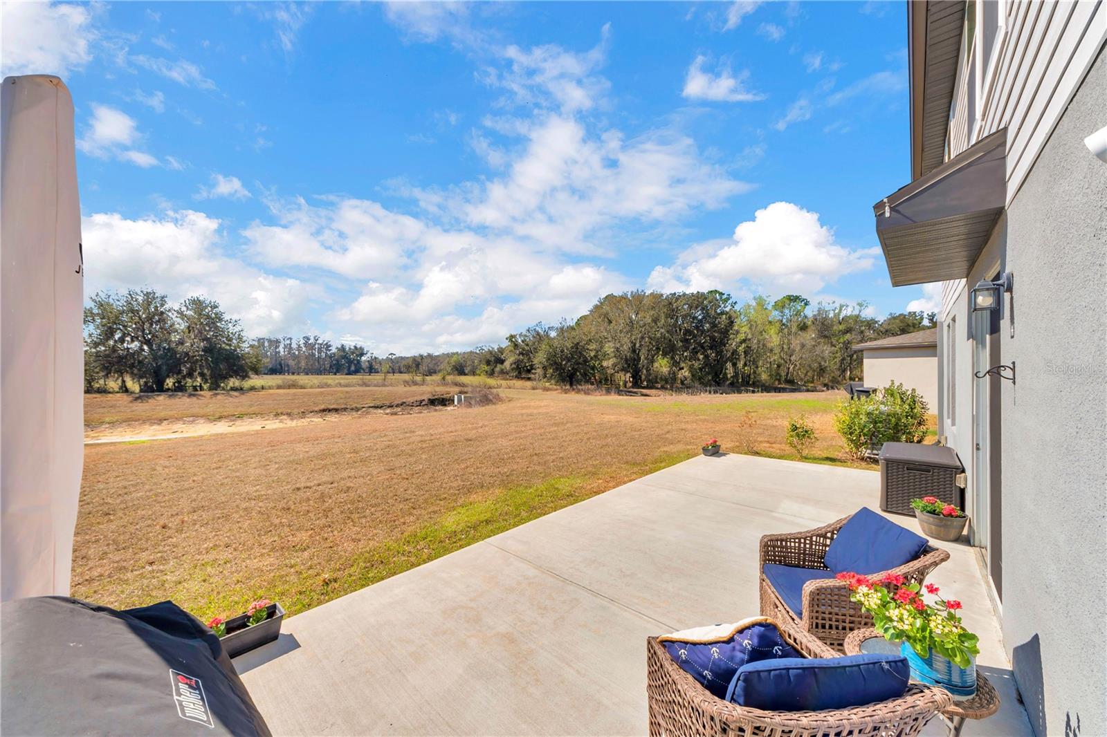 Image 42 of 64 For 3070 Forrest Plum Court