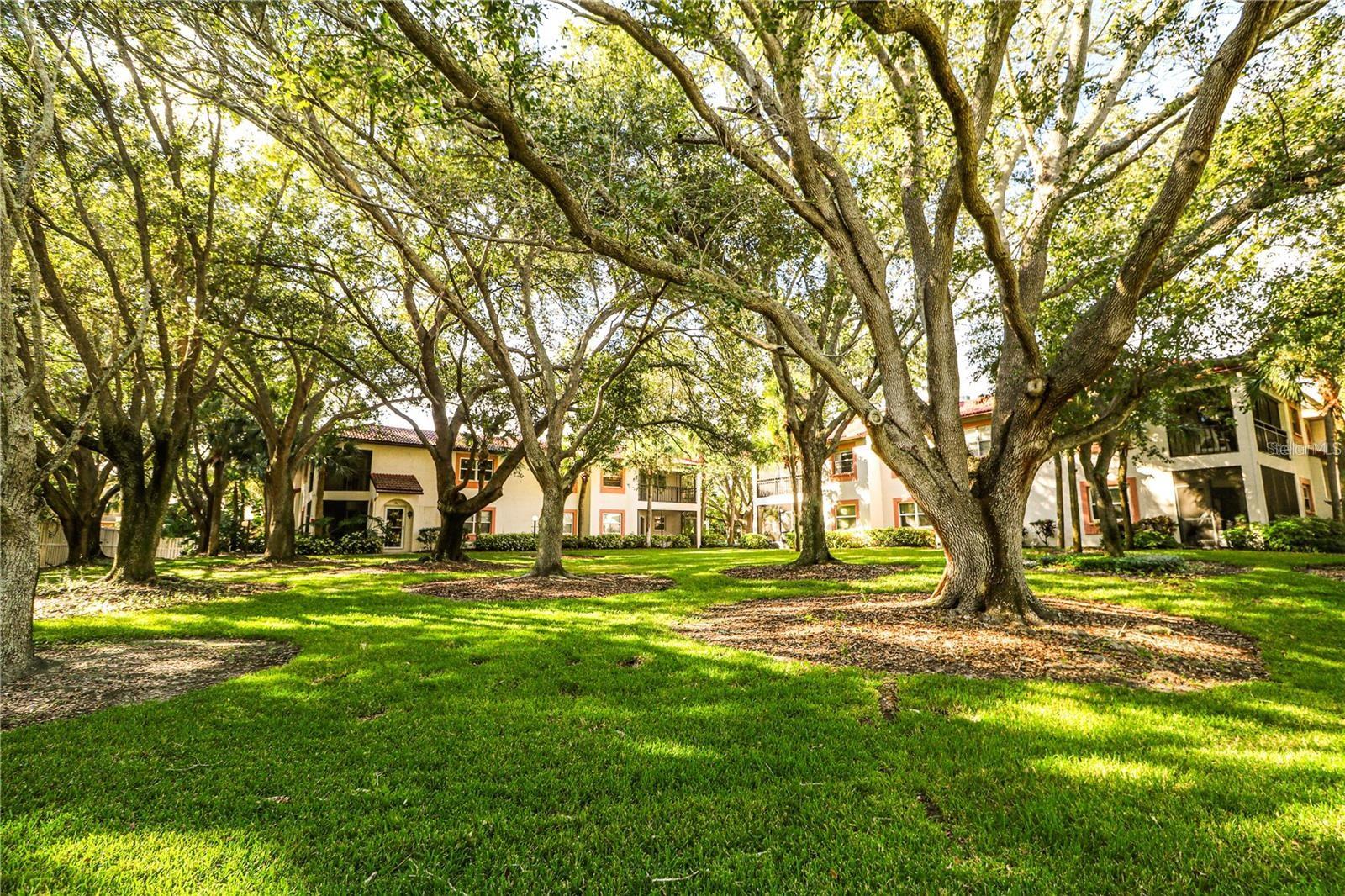 Image 26 of 27 For 476 Santa Cruz Place Ne B