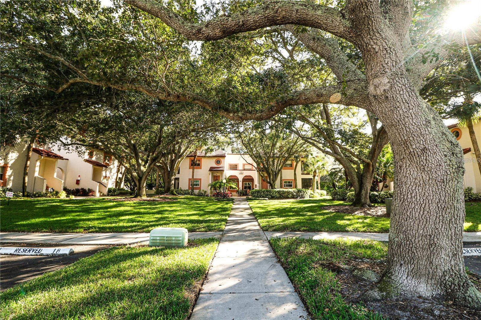 Image 27 of 27 For 476 Santa Cruz Place Ne B