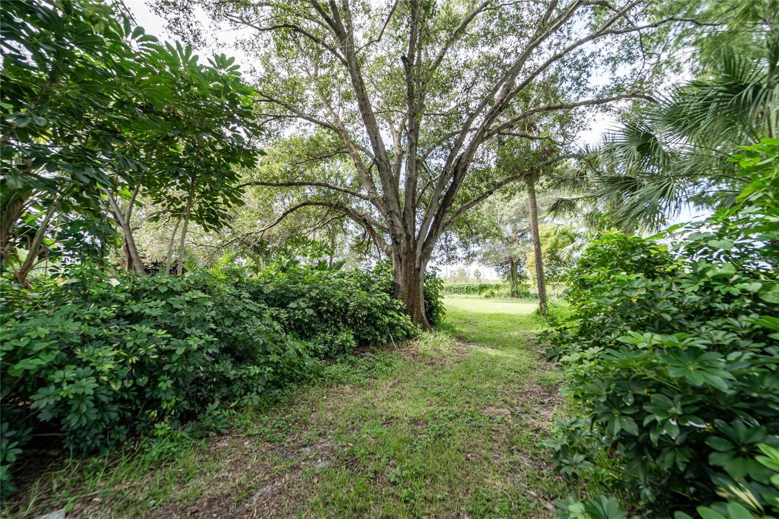 Image 21 of 25 For 3834 29 Avenue