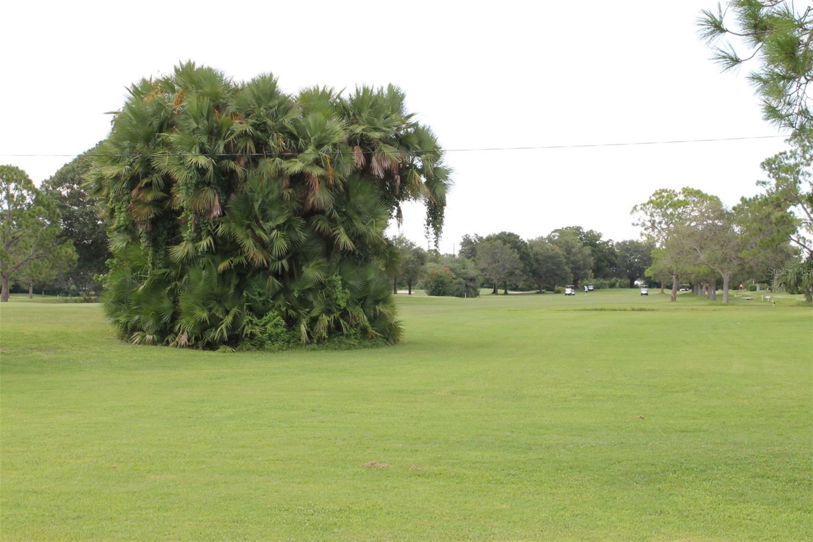 Image 49 of 51 For 9304 41st Way N