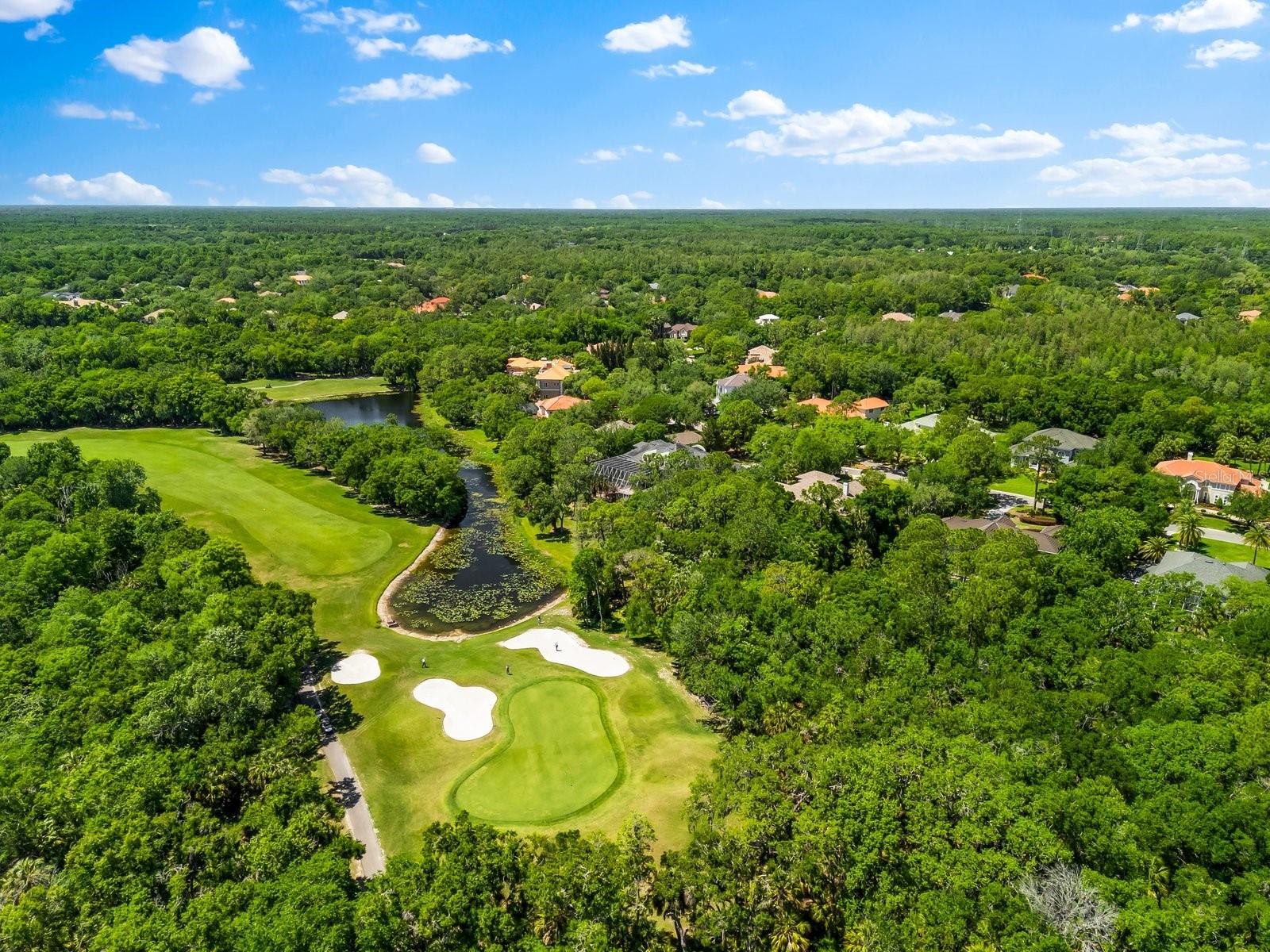 Listing photo id 62 for 6413 Maclaurin Drive