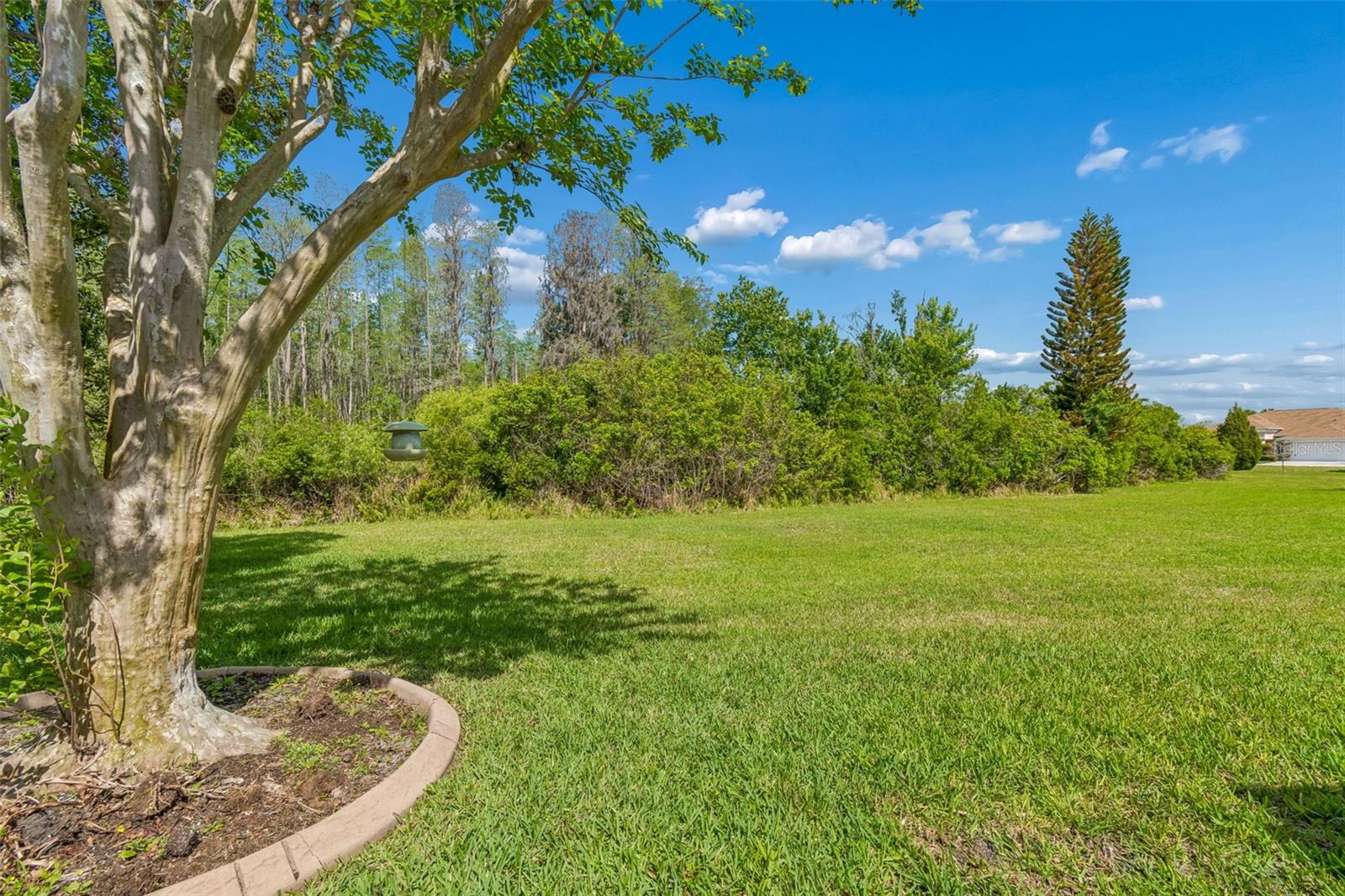 Image 69 of 99 For 7424 Melogold Circle