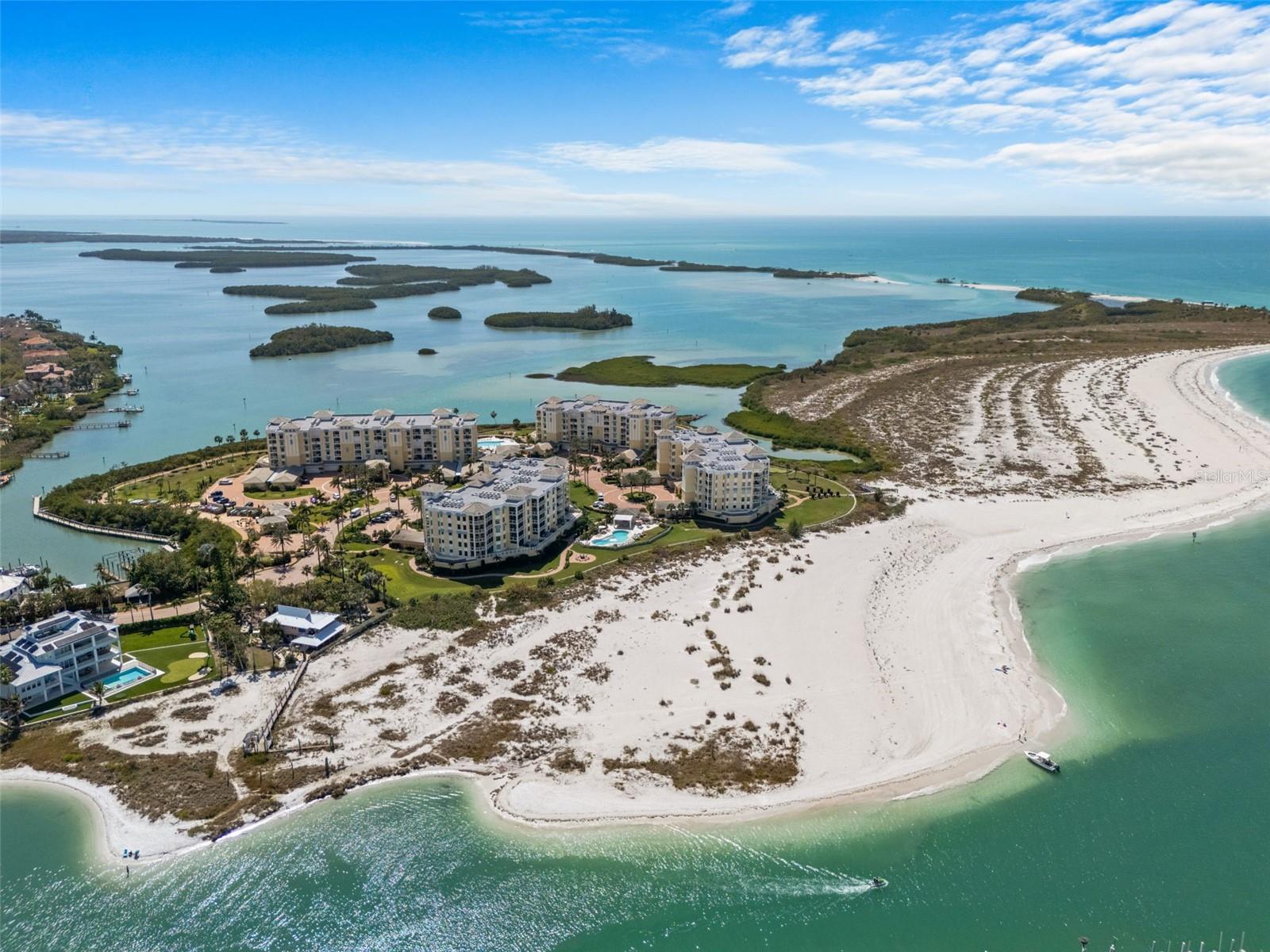 Image 48 of 50 For 650 Collany  405