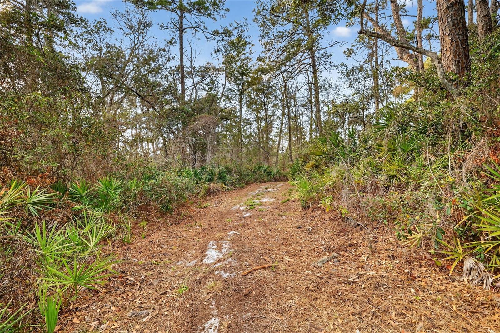 Image 2 of 21 For  Powell Road 