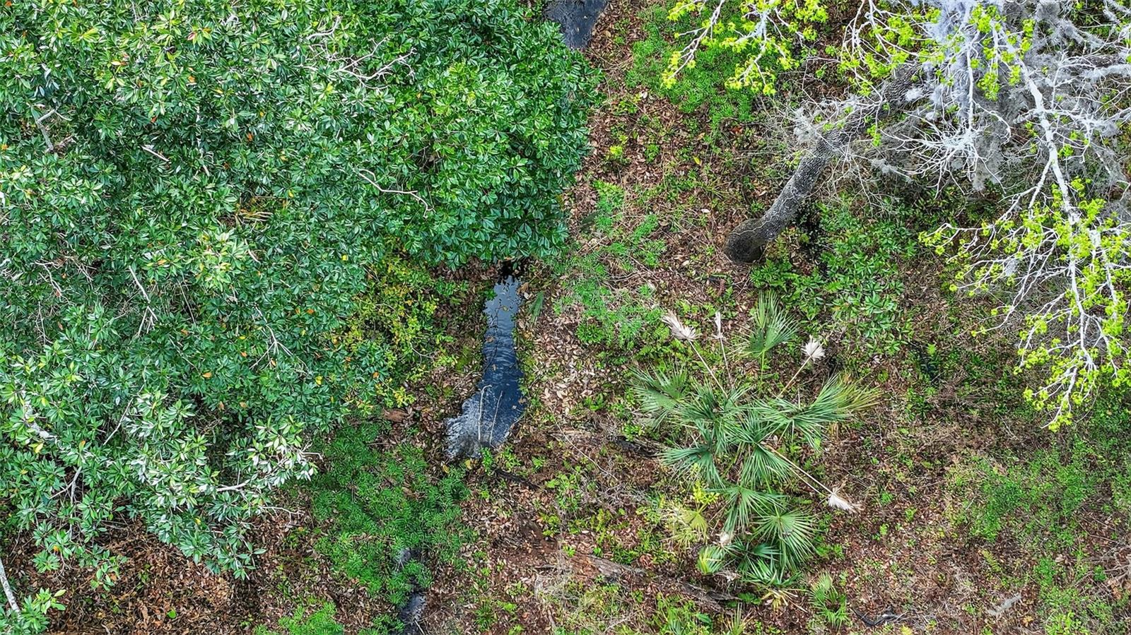 Image 21 of 21 For  Powell Road 