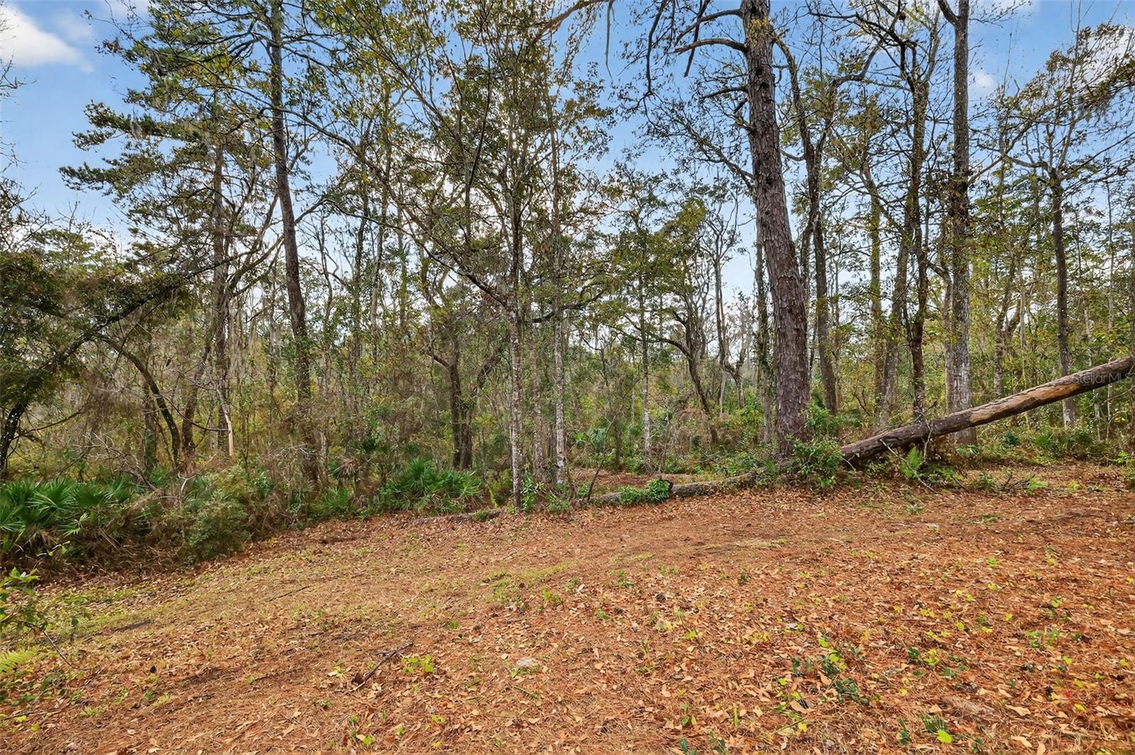 Image 3 of 21 For  Powell Road 