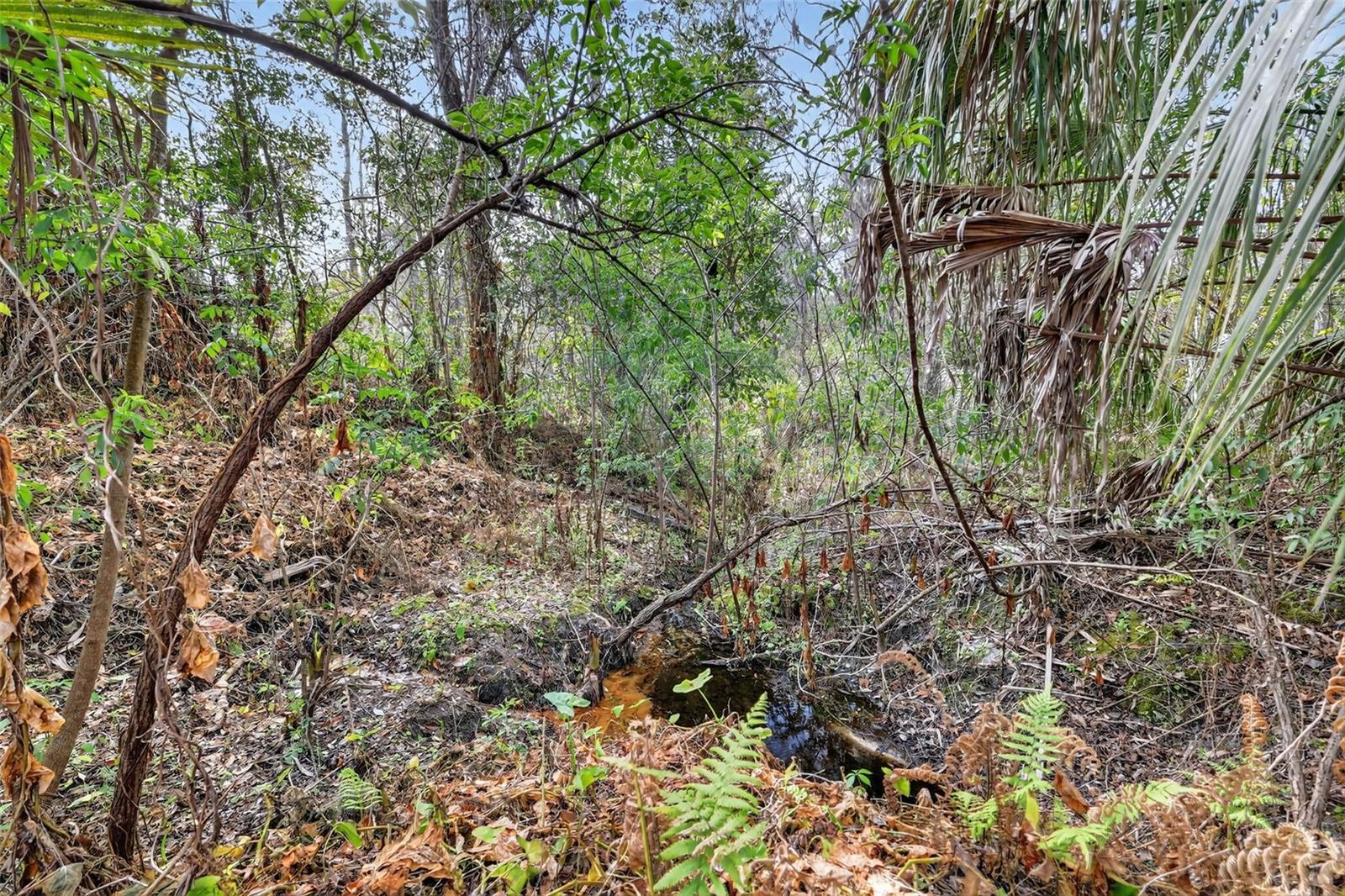 Image 8 of 21 For  Powell Road 