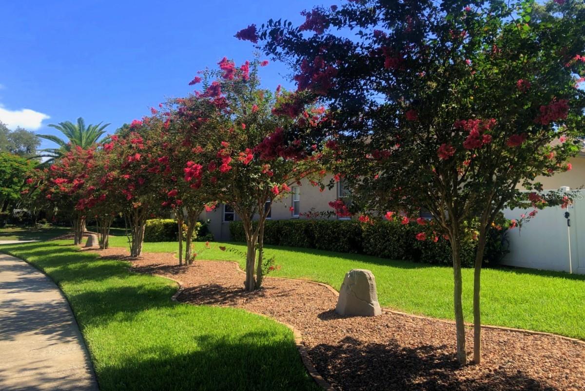 Image 54 of 60 For 2822 Gloria Court