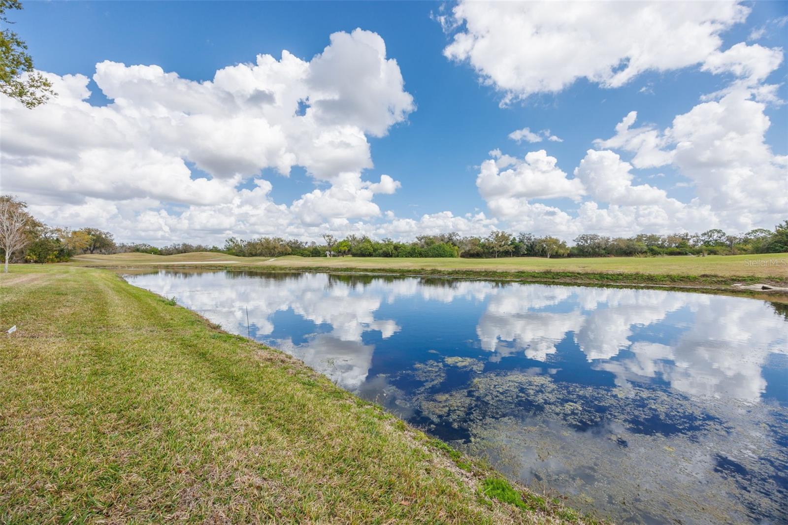 Image 3 of 98 For 917 Villeroy Greens Drive 72